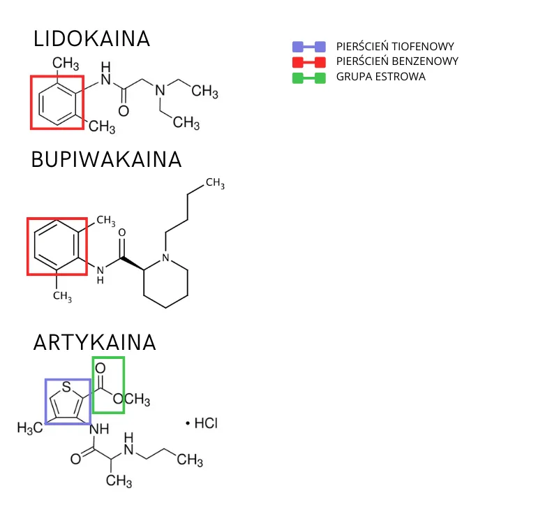 Chemical structures of lidocaine, bupivacaine and articaine with Polish labels: red boxes mark the benzene ring, the blue box marks articaine's thiophene ring and the green box its ester group